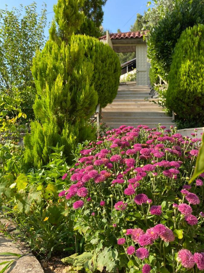 Marl'S Home Berat Exterior photo